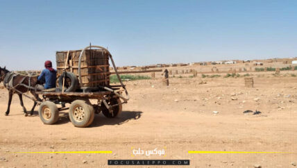 أنقذوا مخيم الركبان.. هل حقاً نستطيع ذلك