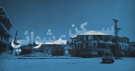 الأملاك في عفرين: استيلاء واسع وسطوة فصائلية