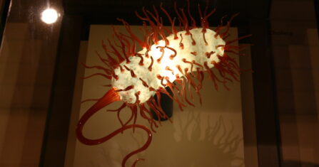 مرضى الثلاسيميا في الشمال السوري.. البحث عن خالبات الحديد