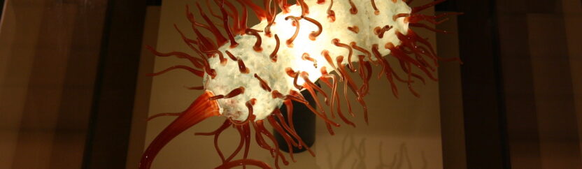 الكوليرا تنتشر في سوريا وحلب في مقدمة الإصابات والوفيات