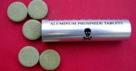 مخدر الإتش بوز.. موتٌ بطيء لأسر كاملة