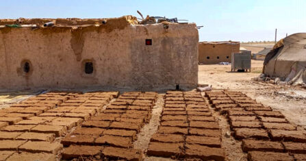 الزلزال وفوز الأرجنتين حدثان في آن معاً.. كيف عاشهما السوريون