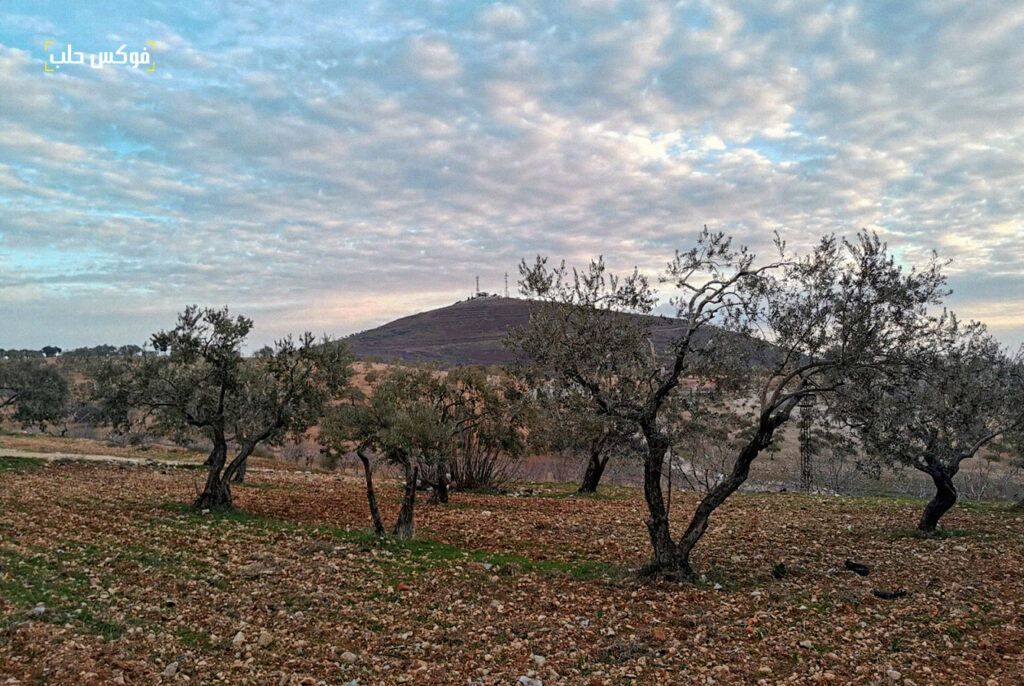 الصورة من قرية جوزف في جبل الزاوية بريف ادلب