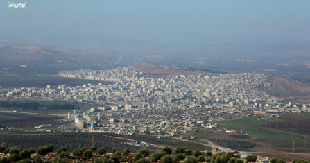 زيتون عفرين ليس لأهله