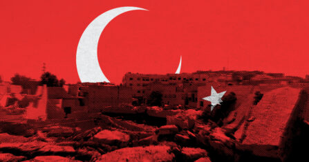 زيتون عفرين ليس لأهله