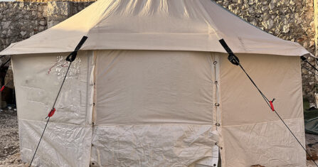 كنا نتمنى لقاء أمهاتنا قبل أن يغيّر الزمن ملامحهنّ