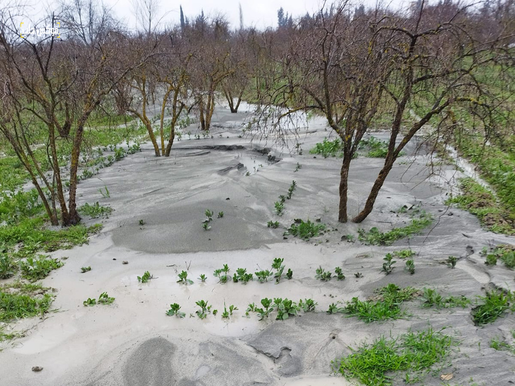 التربة الرملية المنبثقة من باطن الأرض في قرية التلول شمالي إدلب١