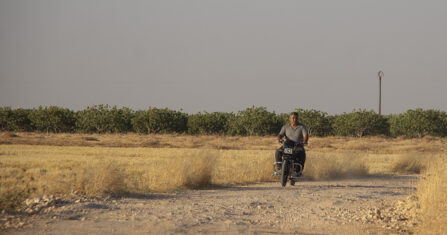 مخدر الإتش بوز.. موتٌ بطيء لأسر كاملة