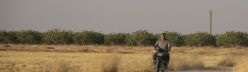 عمليات السلب … ظاهرة ترهق الأهالي في ريف حلب الشمالي