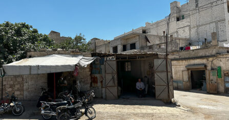 مكانس القش حبيسة الحدود