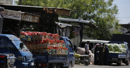التين التركي الرديء إلى إدلب بختم حكومة الإنقاذ 
