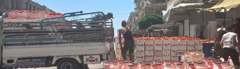 رخص ثمن البندورة ينشط عمل صانعات “مية الإفرنجي” في مدينة حلب