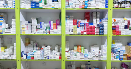 فصائل في عفرين تفرض إتاوات على مواسم زراعية آخرها ورق العنب