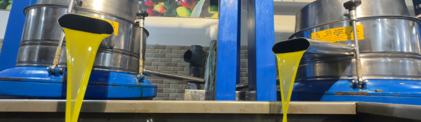 في مخابر تحليل زيت الزيتون.. أكثر من نصف العينات غير مطابقة