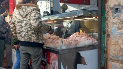 بعد تضاعف ثمنه.. الفرّوج يطير عن موائد سوريين