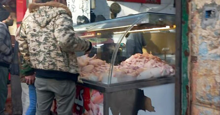 “الأكلات الطيبة” حلم للطفل يلتهمه الغلاء 