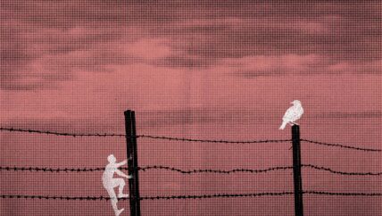 قسمة ونصيب.. لكن ليس للمعتقلين والمعتقلات