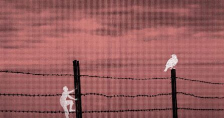 أبي المفقود… حلم اللقاء الذي لم يتحقق