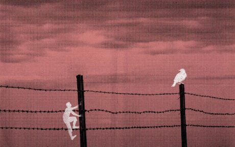 قسمة ونصيب.. لكن ليس للمعتقلين والمعتقلات