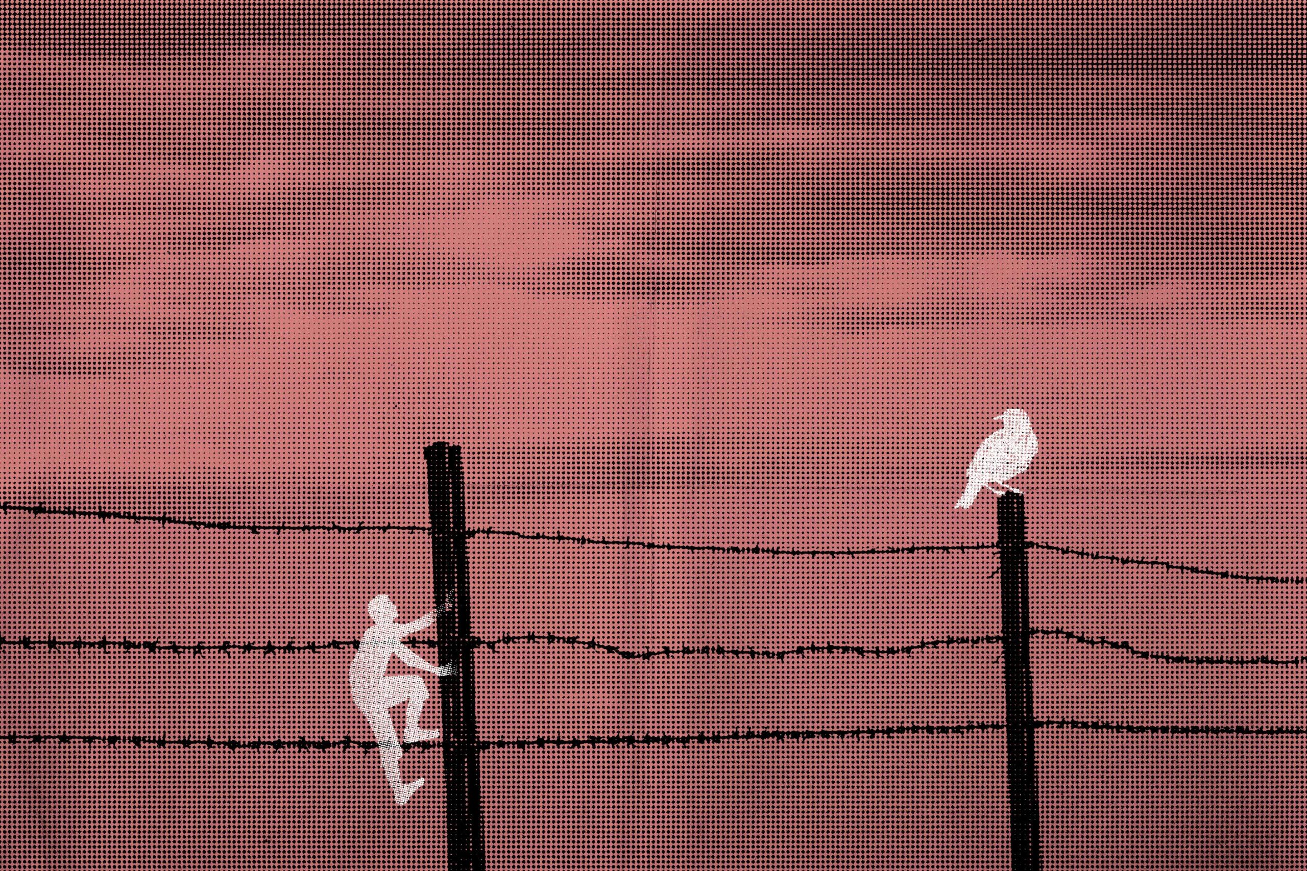 المعتقلين والمعتقلات في سوريا- فوكس حلب