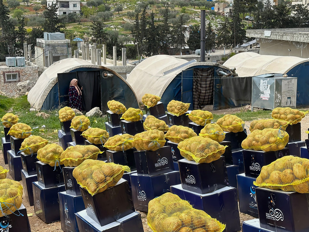 الأمن الغذائي في الشمال السوري- فوكس حلب