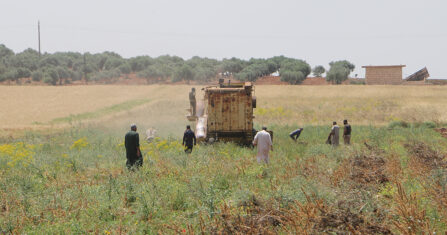 حظر المبيدات.. إنقاذ النحل مقابل خسائر في محاصيل زراعية