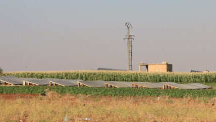 توفر الكهرباء يحد من الاعتماد على الطاقة الشمسية في الشمال السوري