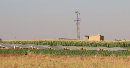 كهرباء في المخيمات.. ولكن!