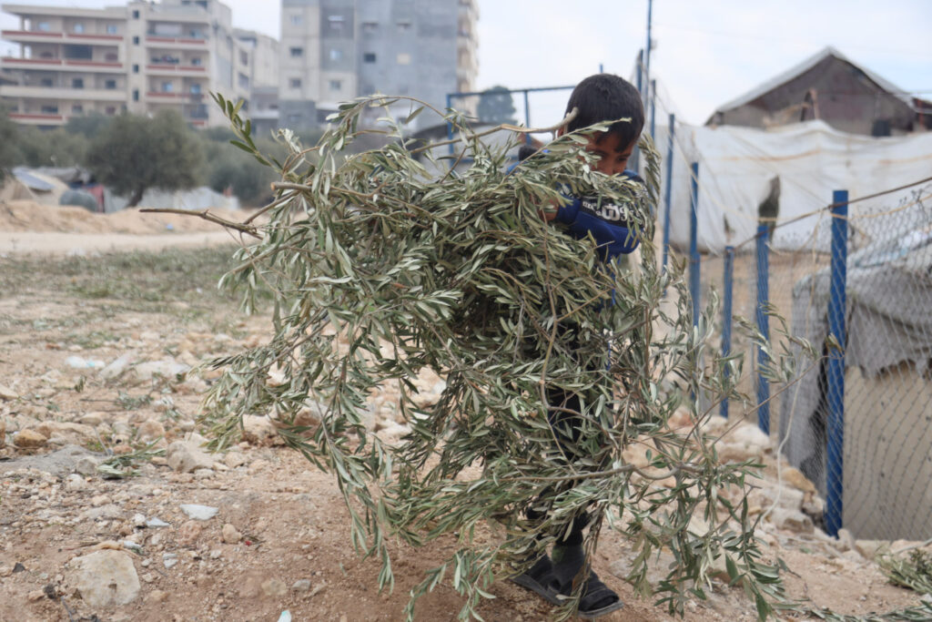 طفل يجمع حطب في مخيم أهل العز بمدينة كفرتخاريم غربي ادلب. كانون الأول 2024- تصوير: رهام يونس