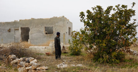 عام دراسي بلا مدارس.. تلاميذ تل الضمان يواجهون المستقبل بين الركام