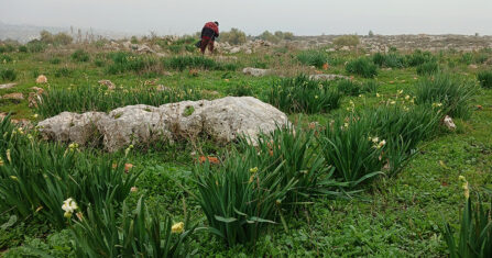 في دارة عزة.. الصهاريج لا تروي العطش