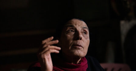 حليمة خلف المقود.. فتاة قادها الواجب باكراً