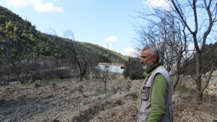 العودة إلى النهر.. حيث تبدأ الحكاية من جديد