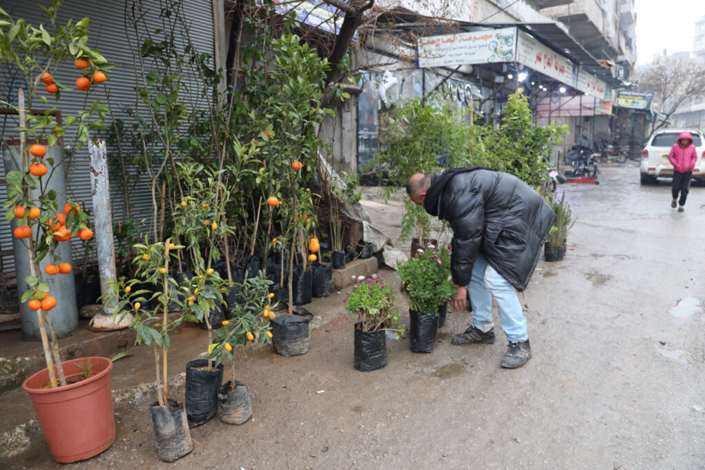 أيمن خربطلي، بائع ورد وأشجار في مدينة كفرتخاريم غربي إدلب، شباط 2025- تصوير: رهام علي.