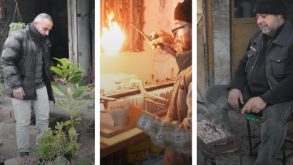 كفرتخاريم.. أصوات من الحياة اليومية