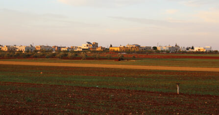 المحلب في جبل الزاوية.. معركة بقاء أخرى