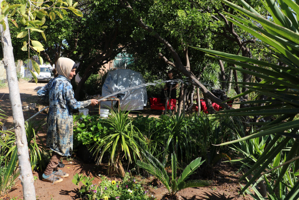 إيمان تسقي نباتات المشتل وتهتم بها، اللاذقية، نيسان 2025- تصوير: هيام الباشا.