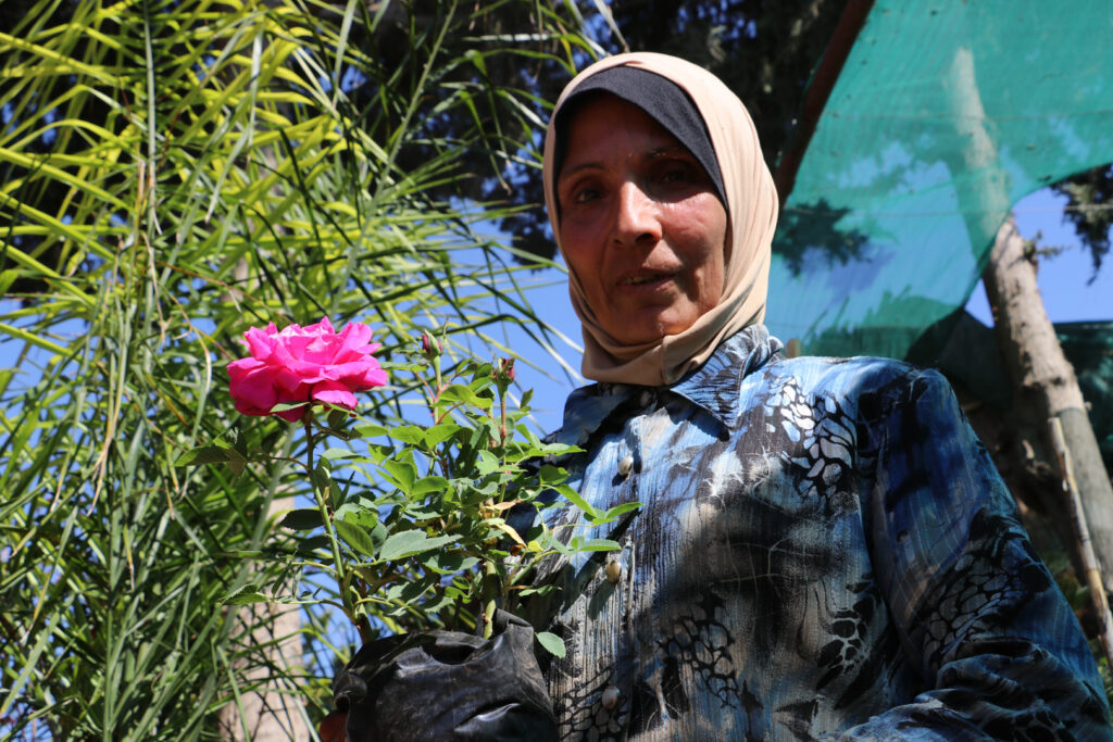 إيمان تمسك وردة الجوري الشامية، اللاذقية، نيسان 2025- تصوير: هيام الباشا.