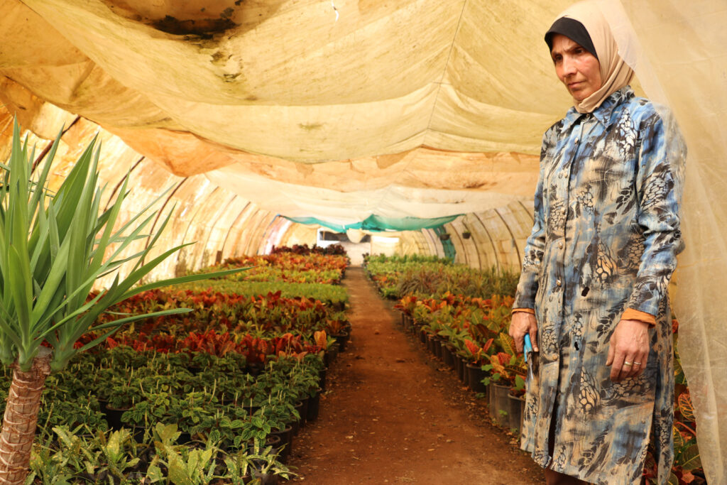 إيمان تتفقد النباتات في المشتل، اللاذقية، نيسان 2025- تصوير: هيام الباشا.