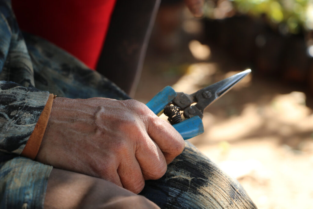 إيمان تحمل مقص تقليم النباتات الذي يرافقها دائمًا، اللاذقية، نيسان 2025- تصوير: هيام الباشا.
