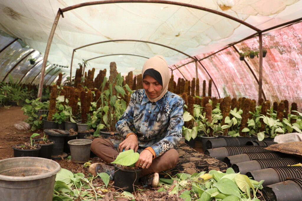  إيمان تزرع نبات اللبلاب، اللاذقية، نيسان 2025- تصوير: هيام الباشا.