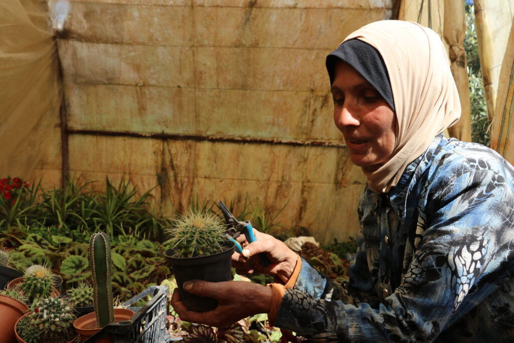 إيمان تشرح عن نبات الصبار وعلاقتها به، اللاذقية، نيسان 2025- تصوير: هيام الباشا.