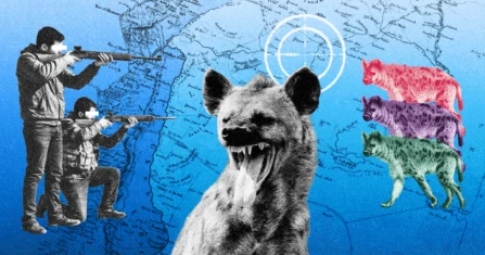 محمية الغزلان في بادية حلب.. حكاية مكان تُرك بلا حماية