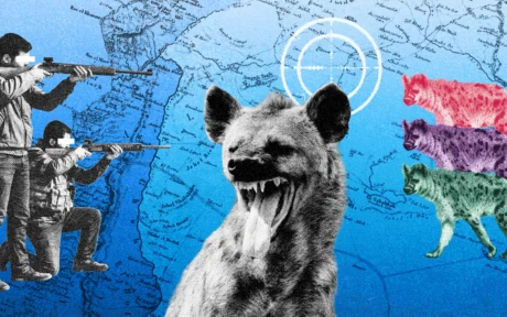 فوّهة الحرب مصوّبة نحو الضباع المخطّطة