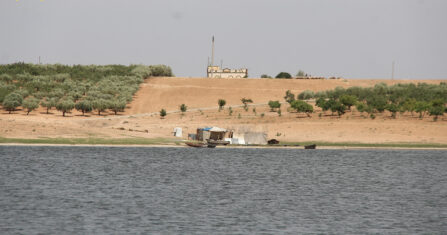 محمية الغزلان في بادية حلب.. حكاية مكان تُرك بلا حماية