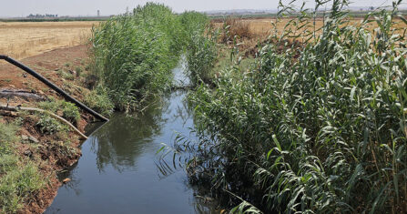 البحث عن مستشفى يفقد مرضى في ريف حلب الجنوبي حياتهم