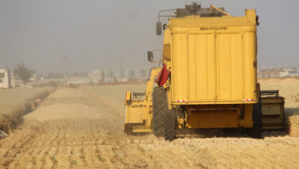 من التصدير إلى الاستيراد.. رحلة القمح السوري نحو الخسارة
