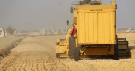 عودة إلى الأرض.. مزارعو إدلب وحماة يكافحون لإحياء بساتين الفستق الحلبي
