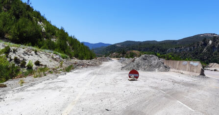 ضوء “الزينون”.. لحظة انبهار قد تنتهي بحادث