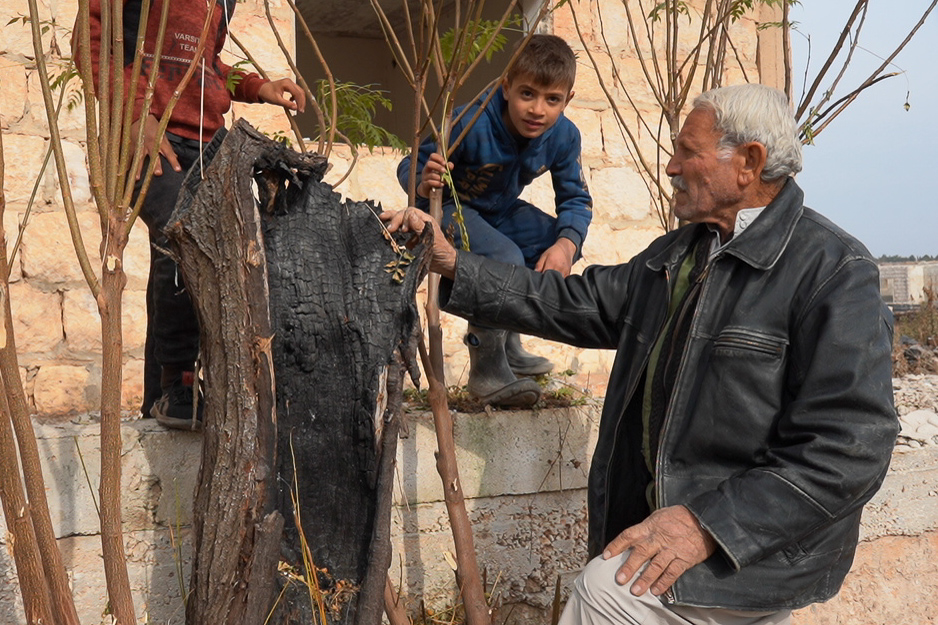 شجرة محروقة زرعها أبو محمد قبل عشر سنوات أمام منزله، كفرنبل، ريف إدلب، أيار 2025- تصوير: سحر زعتور